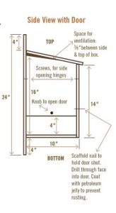 Hand Built Birdhouse Illustration